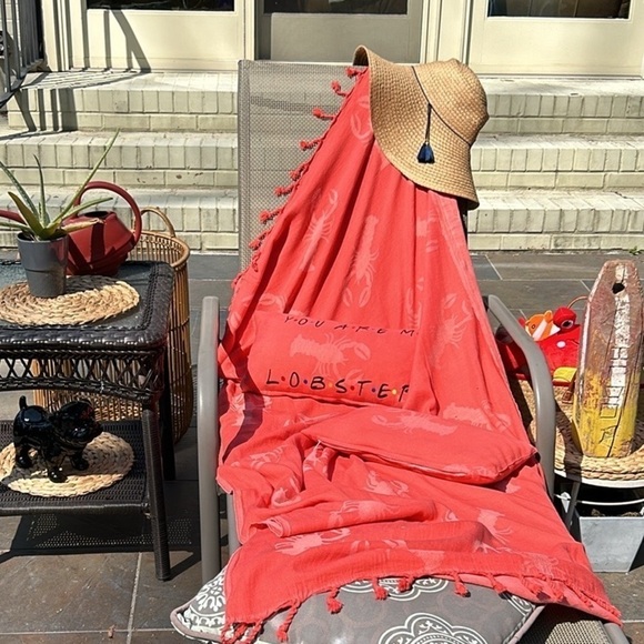 Friends TV Show Phoebe YOU ARE MY LOBSTER Pillow Lobster Embroidery Handmade NEW - Picture 4 of 16